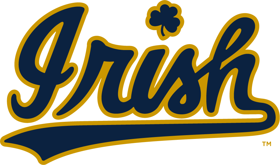 Notre Dame Fighting Irish 2015-Pres Wordmark Logo diy DTF decal sticker